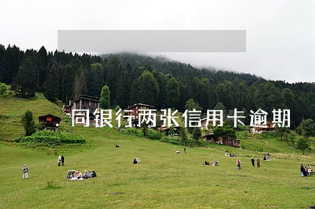 同银行两张信用卡逾期 同银行两张信用卡逾期