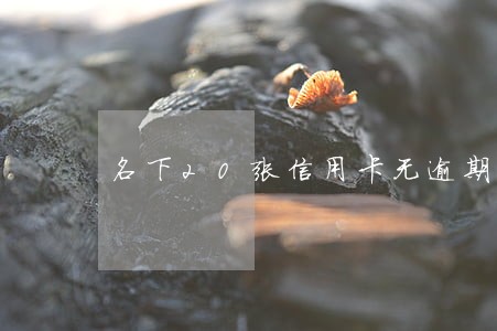 名下20张信用卡无逾期 名下20张信用卡无逾期