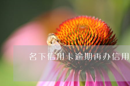 名下信用卡逾期再办信用卡 名下信用卡逾期再办信用卡