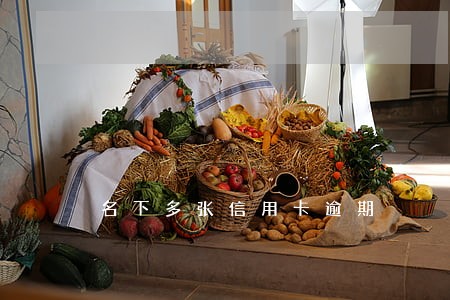 名下多张信用卡逾期 名下多张信用卡逾期