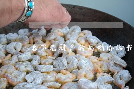 名下无财产的离婚协议书 名下无财产的离婚协议书