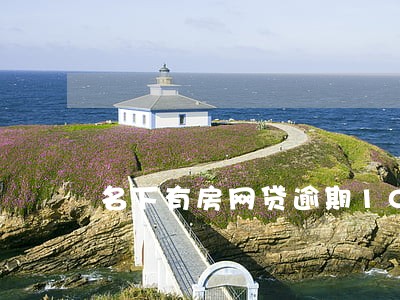 名下有房网贷逾期10万 名下有房网贷逾期10万