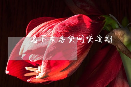 名下有房贷网贷逾期 名下有房贷网贷逾期