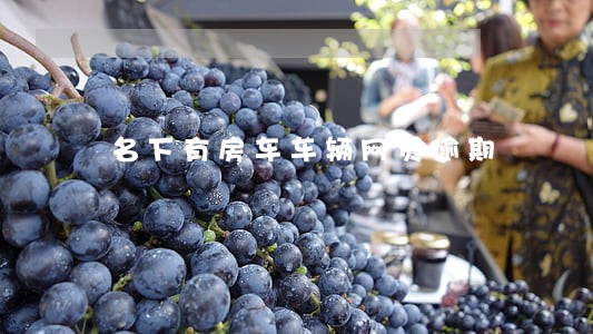 名下有房车车辆网贷逾期 名下有房车车辆网贷逾期