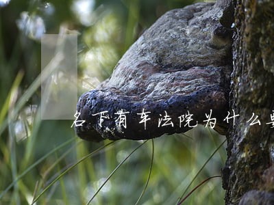 名下有车法院为什么要求终本 名下有车法院为什么要求终本