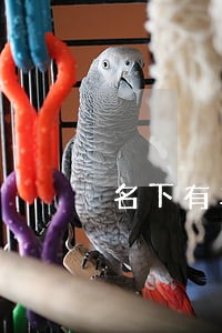 名下有车网贷逾期怎么办 名下有车网贷逾期怎么办