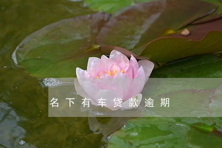 名下有车贷款逾期 名下有车贷款逾期