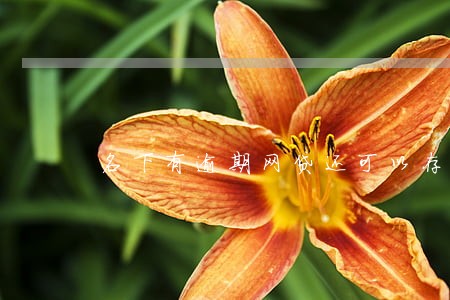 名下有逾期网贷还可以存钱吗 名下有逾期网贷还可以存钱吗