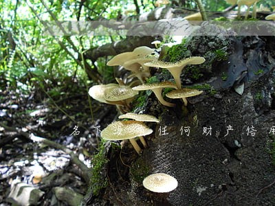 名下没有任何财产信用卡逾期 名下没有任何财产信用卡逾期
