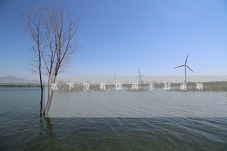 名下没有信用卡却逾期 名下没有信用卡却逾期