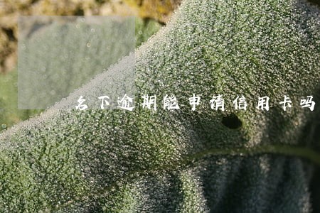 名下逾期能申请信用卡吗 名下逾期能申请信用卡吗