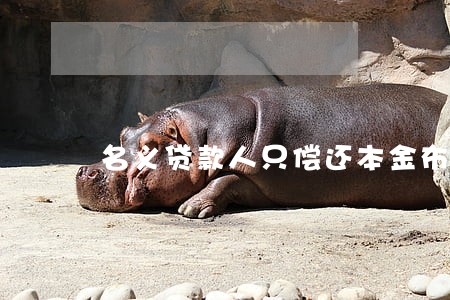 名义贷款人只偿还本金布还利息