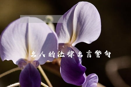 名人的法律名言警句 名人的法律名言警句