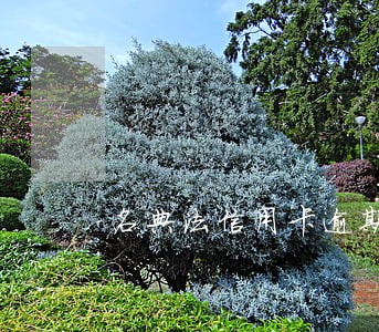名典法信用卡逾期费用规定 名典法信用卡逾期费用规定