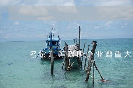 名家汇等照明企业遭重大诉讼