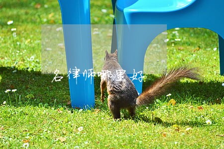 名律师哪里好 名律师哪里好
