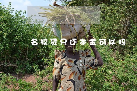 名校贷只还本金可以吗 名校贷只还本金可以吗