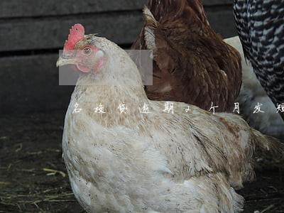 名校贷逾期2个月发短信 名校贷逾期2个月发短信