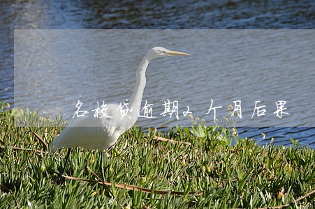 名校贷逾期2个月后果 名校贷逾期2个月后果