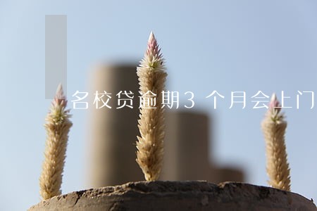名校贷逾期3个月会上门吗 名校贷逾期3个月会上门吗