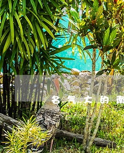 名气大的南京债务纠纷律师排名 名气大的南京债务纠纷律师排名