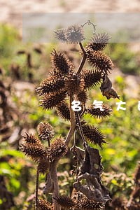 名气大的合伙企业法律顾问电话