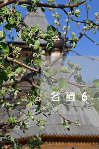 名爵6车贷逾期一个月
