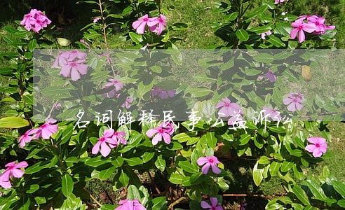 名词解释民事公益诉讼 名词解释民事公益诉讼