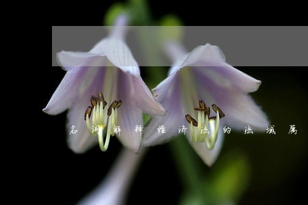 名词解释经济法的法域属性 名词解释经济法的法域属性