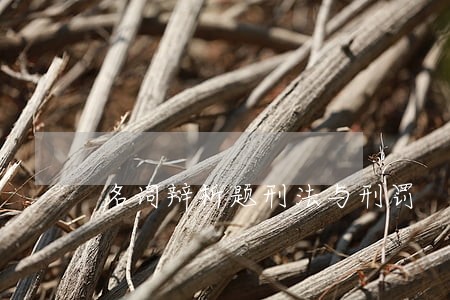 名词辩析题刑法与刑罚 名词辩析题刑法与刑罚