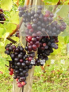 后国家司法考试有什么用