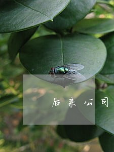 后来公司不服上诉法院了