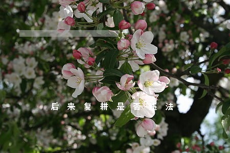 后来复耕是否违法 后来复耕是否违法