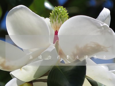 后续治疗费法律条文
