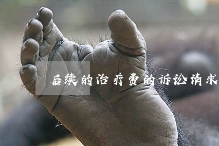 后续的治疗费的诉讼请求怎么写 后续的治疗费的诉讼请求怎么写