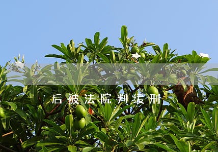 后被法院判缓刑 后被法院判缓刑