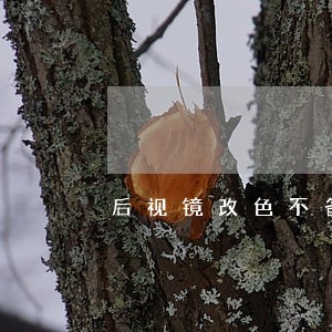 后视镜改色不备案的话违法吗 后视镜改色不备案的话违法吗