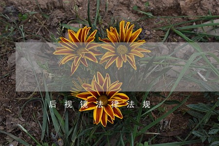 后视镜法律法规 后视镜法律法规