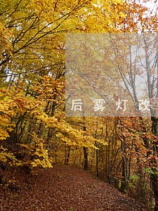 后雾灯改成闪烁会违法吗 后雾灯改成闪烁会违法吗
