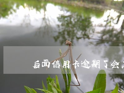 后面信用卡逾期了会怎么样 后面信用卡逾期了会怎么样
