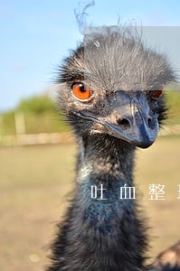 吐血整理信用卡网贷逾期 吐血整理信用卡网贷逾期