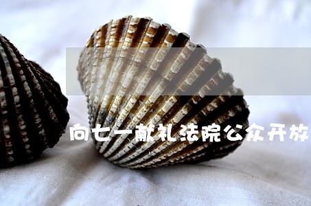 向七一献礼法院公众开放日活动