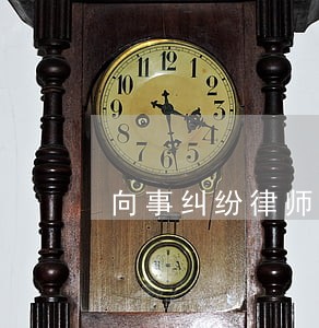 向事纠纷律师咨询电话 向事纠纷律师咨询电话