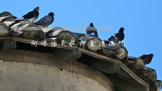 向保洁员收押金违法吗 向保洁员收押金违法吗