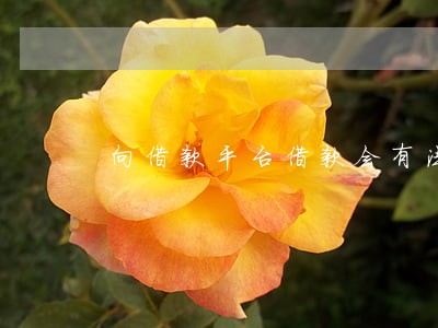 向借款平台借款会有法律责任吗 向借款平台借款会有法律责任吗