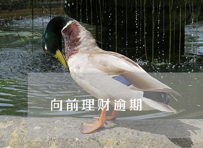 向前理财逾期 向前理财逾期