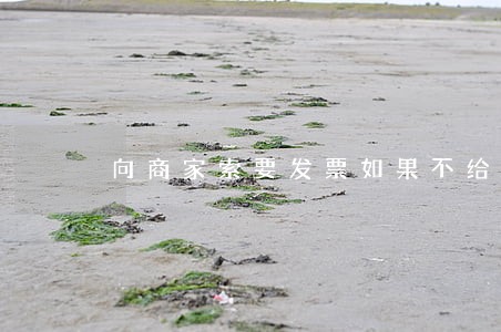 向商家索要发票如果不给违法吗 向商家索要发票如果不给违法吗