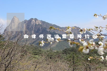 向律师咨询需要预约吗 向律师咨询需要预约吗