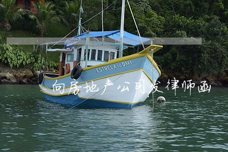 向房地产公司发律师函 向房地产公司发律师函