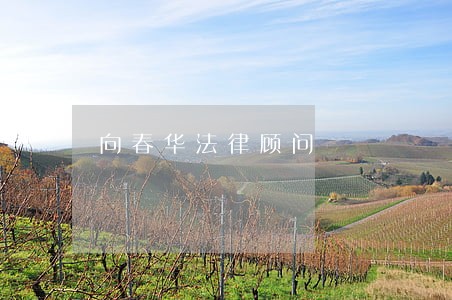 向春华法律顾问 向春华法律顾问